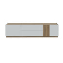 Lewisville TV Unit with 2 Doors and 2 Drawers