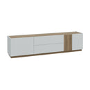 Lewisville TV Unit with 2 Doors and 2 Drawers