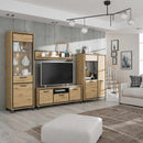 Trondheim Entertainment Unit