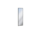 Quant QG-06 Mirror 40cm