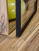 Rise TV Entertainment Unit