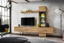 Rise TV Entertainment Unit