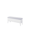 Femii FE-13 Storage Chest